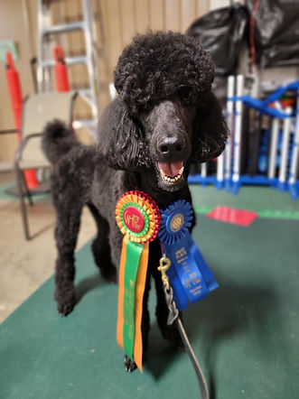 IMG_20250512_124023 (1).jpg