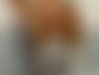 Livro de Gisele Bündchen faz disparar a procura por castanha de baru