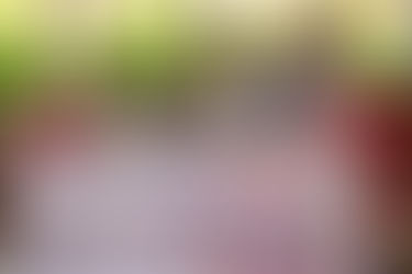 Projeto Algodão Sustentável inicia atividades de capacitação