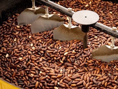 Projeto da Enel com a Copabase tem sua execução iniciada para cumprir as metas e objetivos firmados em acordo de patrocínio para fortalecimento da agroindústria regional