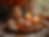 detail shot sacred altar arrangement crystals incense autumn leaves candles natural daylig
