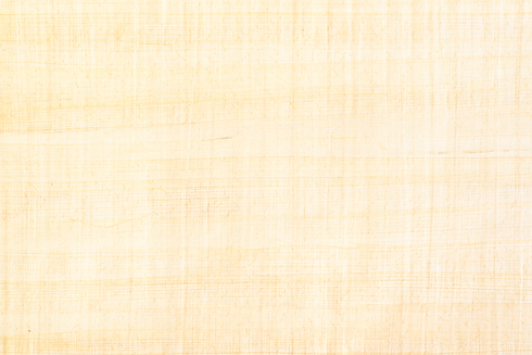Papyrus paper, abstract texture background. Papyrus was used in an ancient Egypt either pa