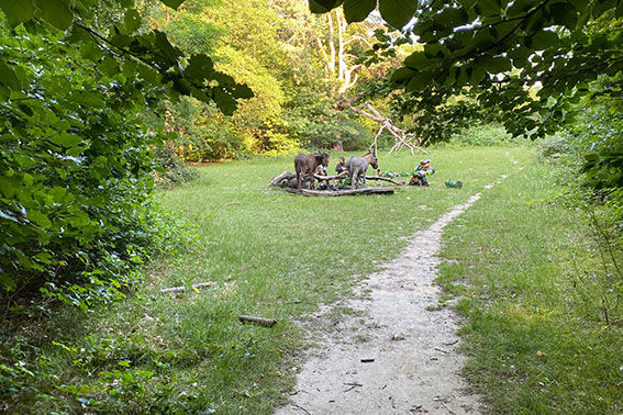 kurze Pause im Stadtpark Bonn