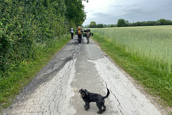weiter geht's