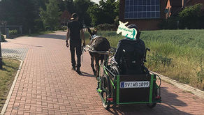 Wir bauen eine Eselkutsche für einen Rollstuhlfahrer