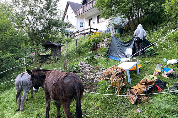 Camping am Hang