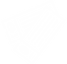 PRO (2).png