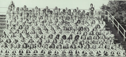 100 Years of Manatee Football