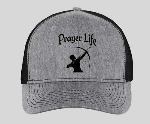 Prayer Life Embroidered Grey Hat | Prayer Life Center