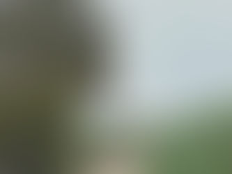 Angel Eyes Bring Demise