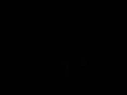 zimbabwe black.JPG