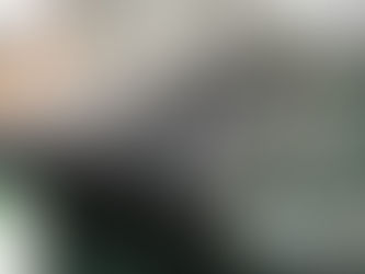 What is a Cut-resistant Felt Conveyor Belt for Digital Cutter