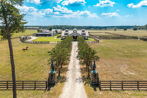 1619 Buddy McGill Trail-8.jpg