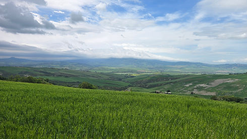 20260506_114551.jpg