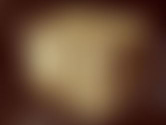 My U.S. Constitutional Rights To The Discovery and Possession of the Gold Plates From Which The Writings Known As The 1830 “THE BOOK OF MORMON” and the 2004 “THE SEALED PORTION” Were Subscribed