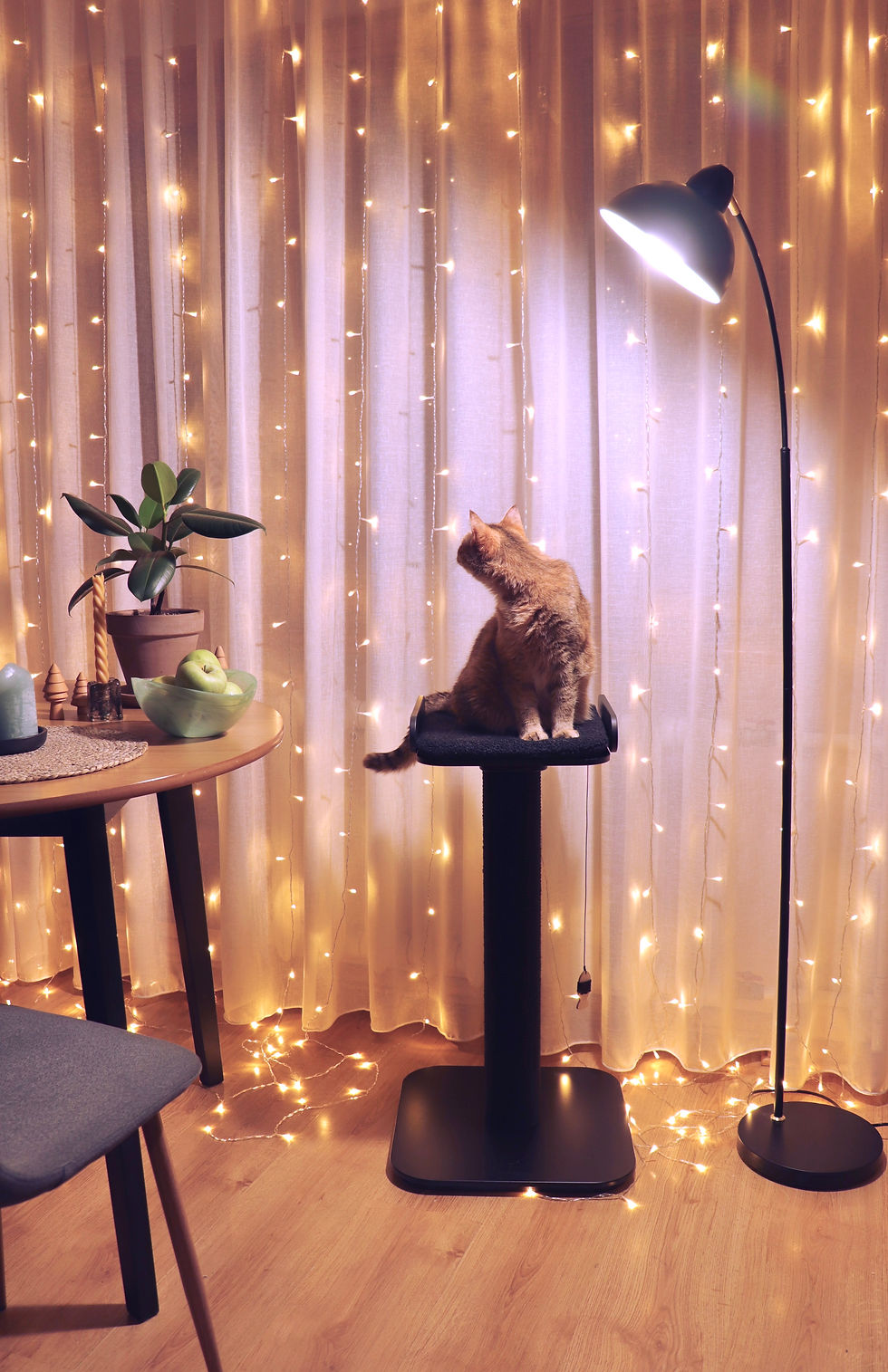 Прев'ю: Кігтеточка Model S з лежаком Чорна