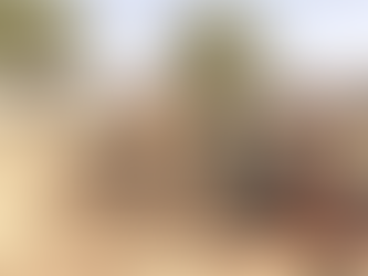Refugees fleeing Darfur violence face ‘disastrous’ conditions: UN