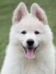 Aika picture.jpg
