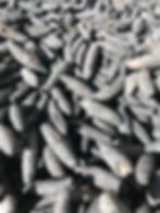 Dried Holothuria Poli