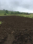 Forestry Track Excavations