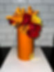 IMG_0133.jpeg
