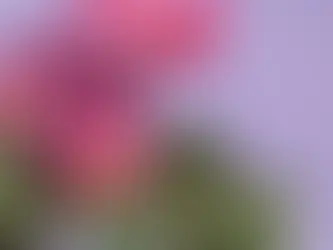 Nutriband Inc. to Manufacture Fleur Marché-branded Wellness Patches Under Exclusive Agreement