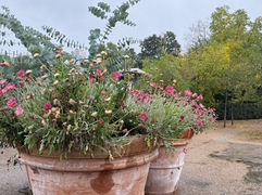 terra cotta planter love