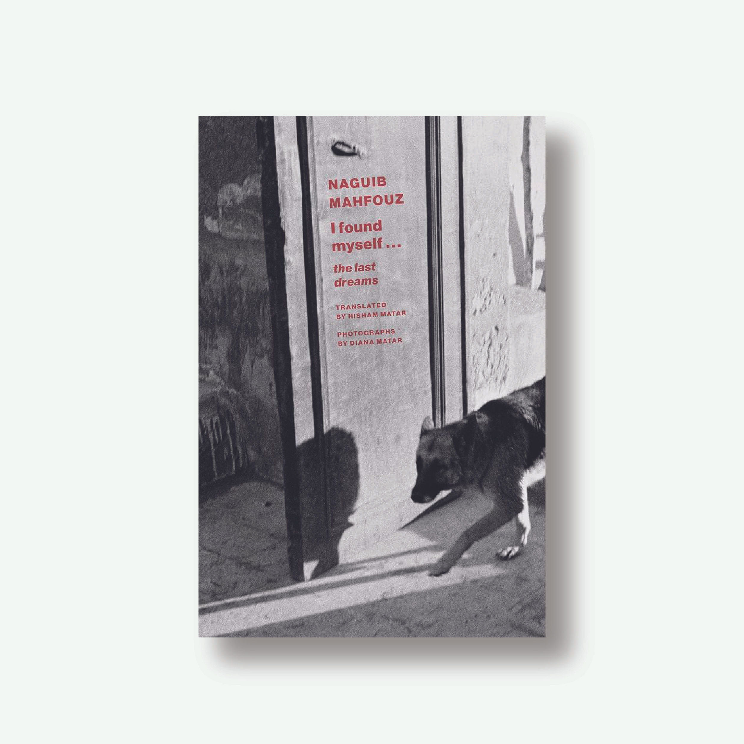 I Found Myself: Last Dreams