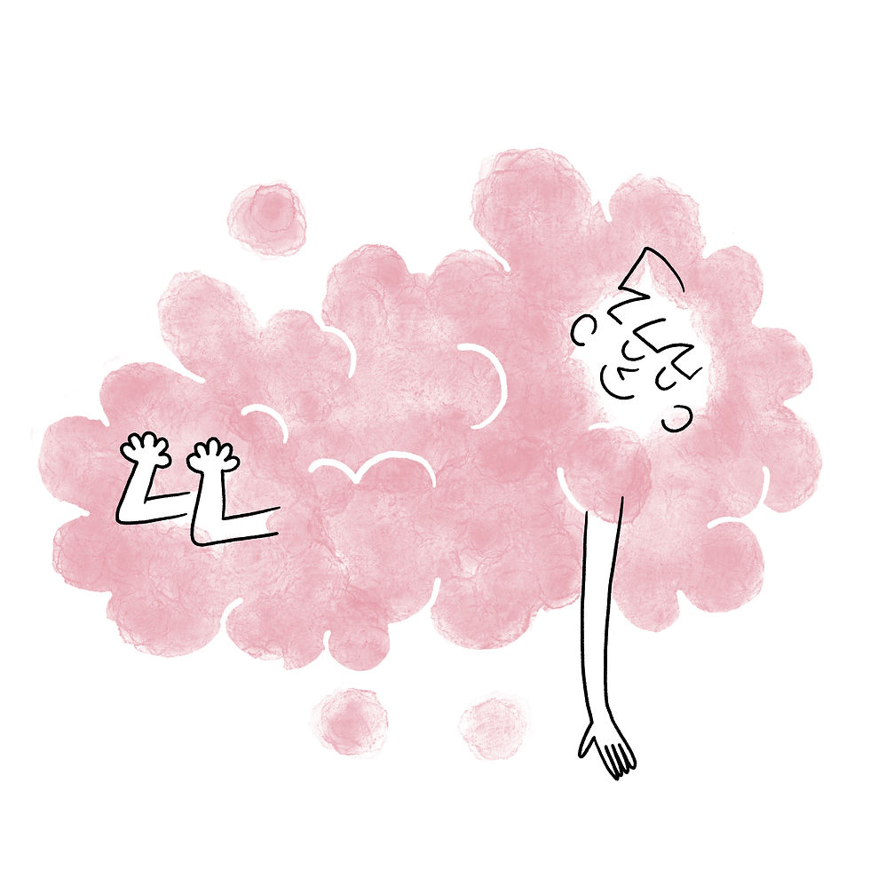 HolisMa_2_Pantone494U.jpg