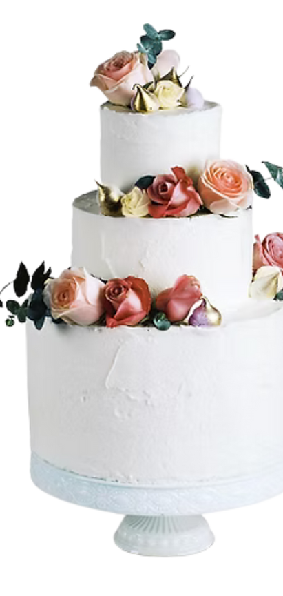 Névtelen terv (28).png