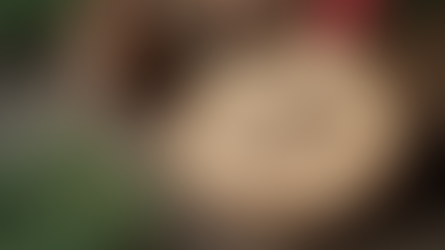 Choosing the Perfect Personalized Ornaments