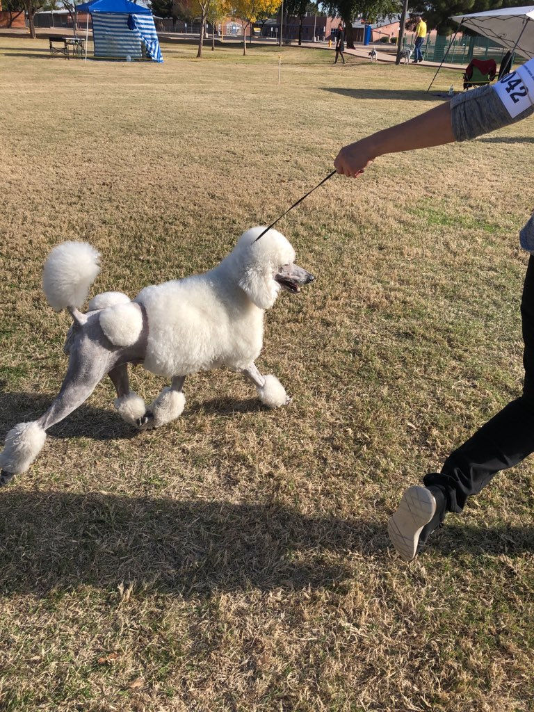 elsa moving