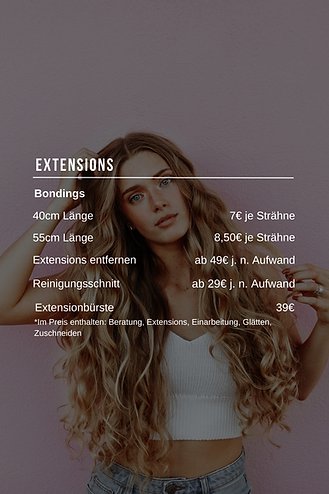 Preise Extensions 2026.png