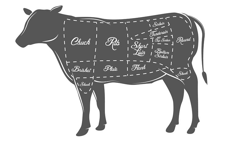 Bull Diagram.jpg