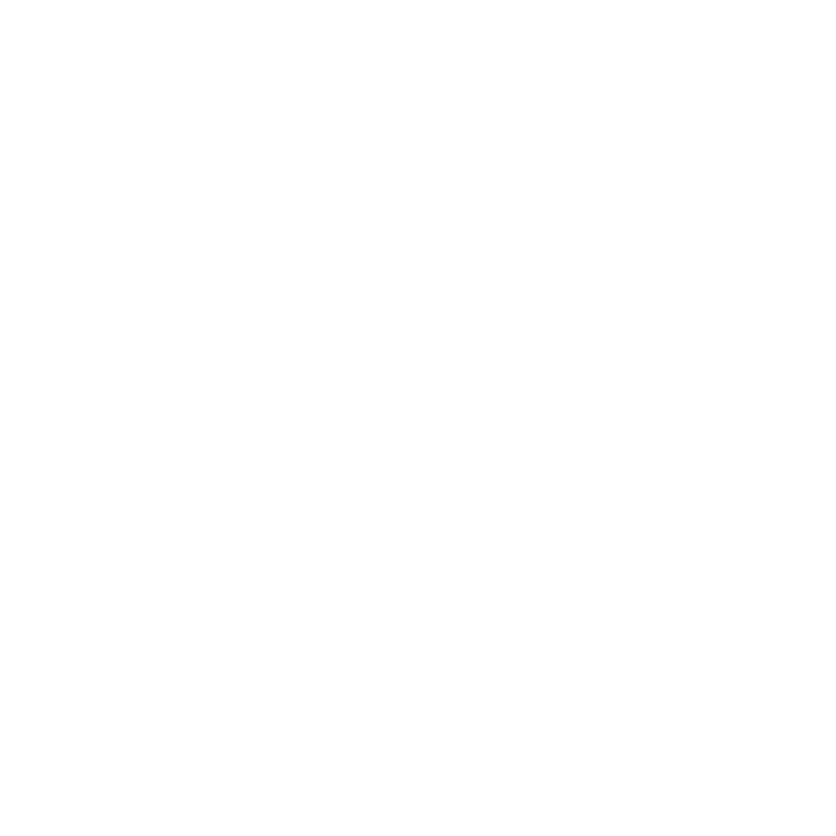 rowing logo.png