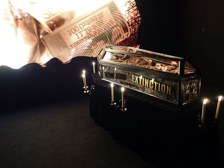 gilded coffin installation 