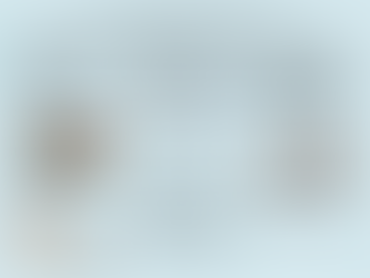 [實習成果] - Dealing Class Imbalance by Adjusting Sample Weighting in Loss Function