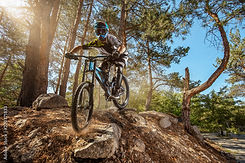 AdobeStock_220371833_Preview.jpeg