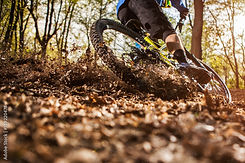 AdobeStock_149220478_Preview.jpeg