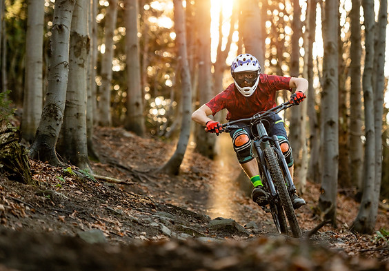 AdobeStock_256606072.jpeg