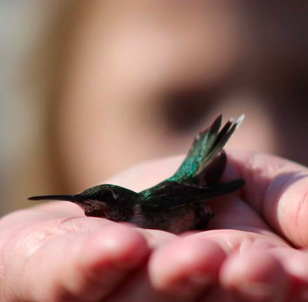 Screenshot_20250217-193636