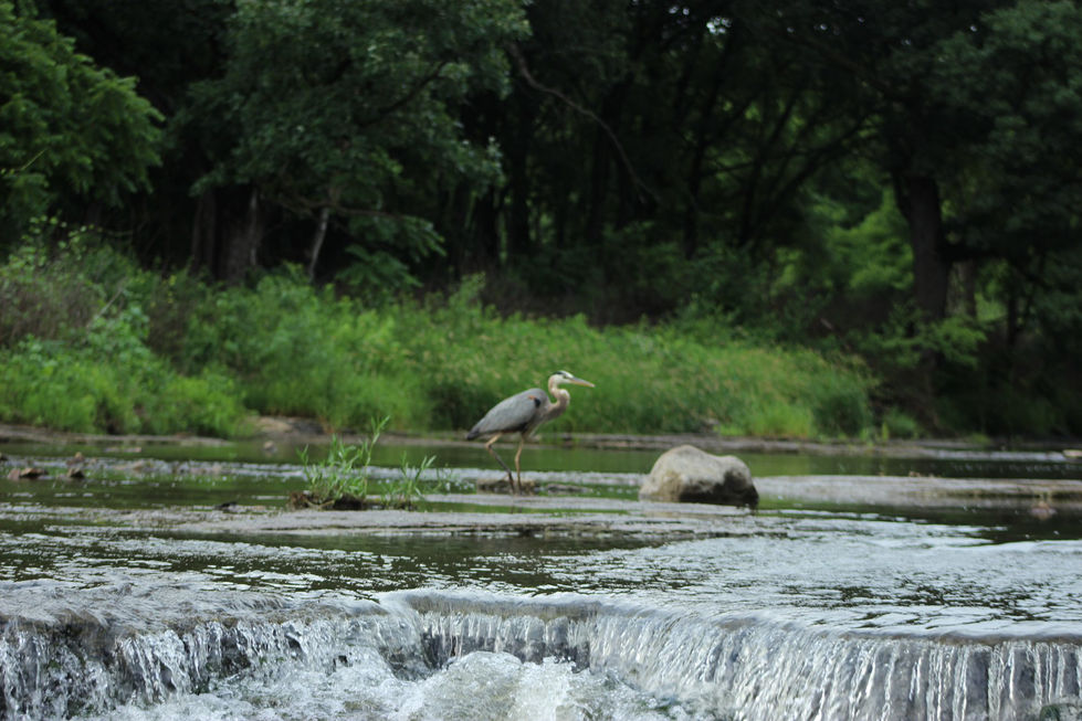 35665654_1856261197769897_2307000490015064064_n