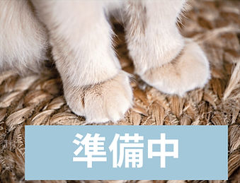 This is Daisy, she adopted me_edited.jpg