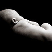 Newborn In Profile