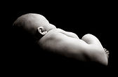 Newborn Baby