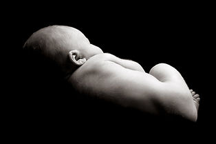 Newborn Baby