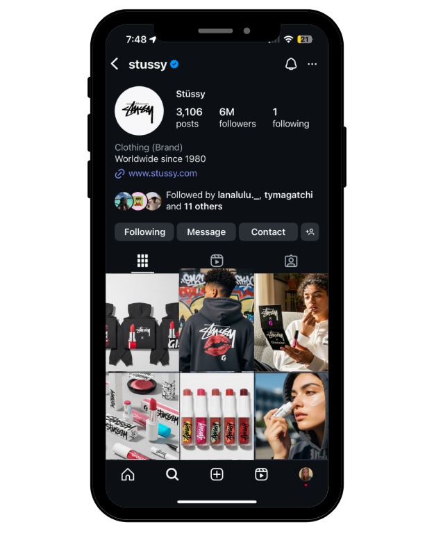 iphone mock stussyxgloss 1