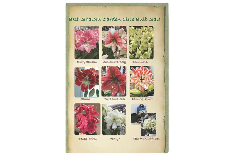 Bulb Sale Fundraiser