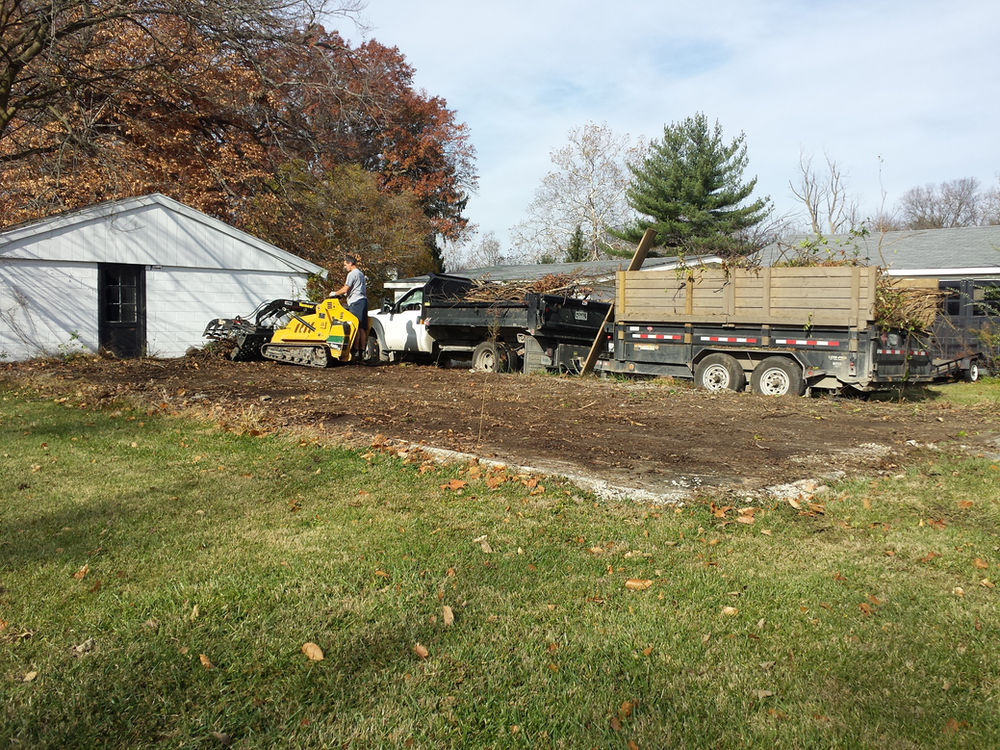 Backyard Brush Removal