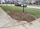 Bush removal in landscaping by Schott Services.